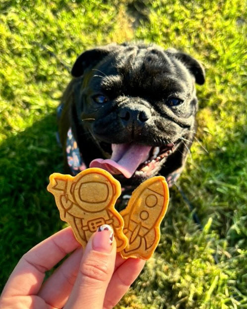 Houston We have Snacks