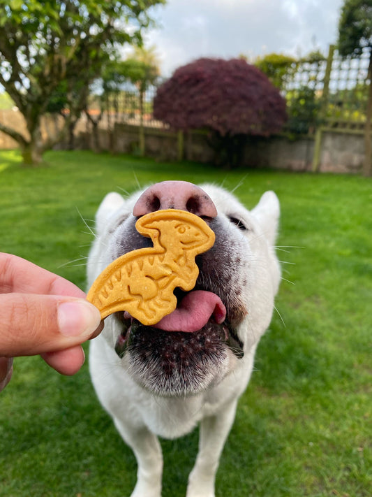 Dino-paw Snacks
