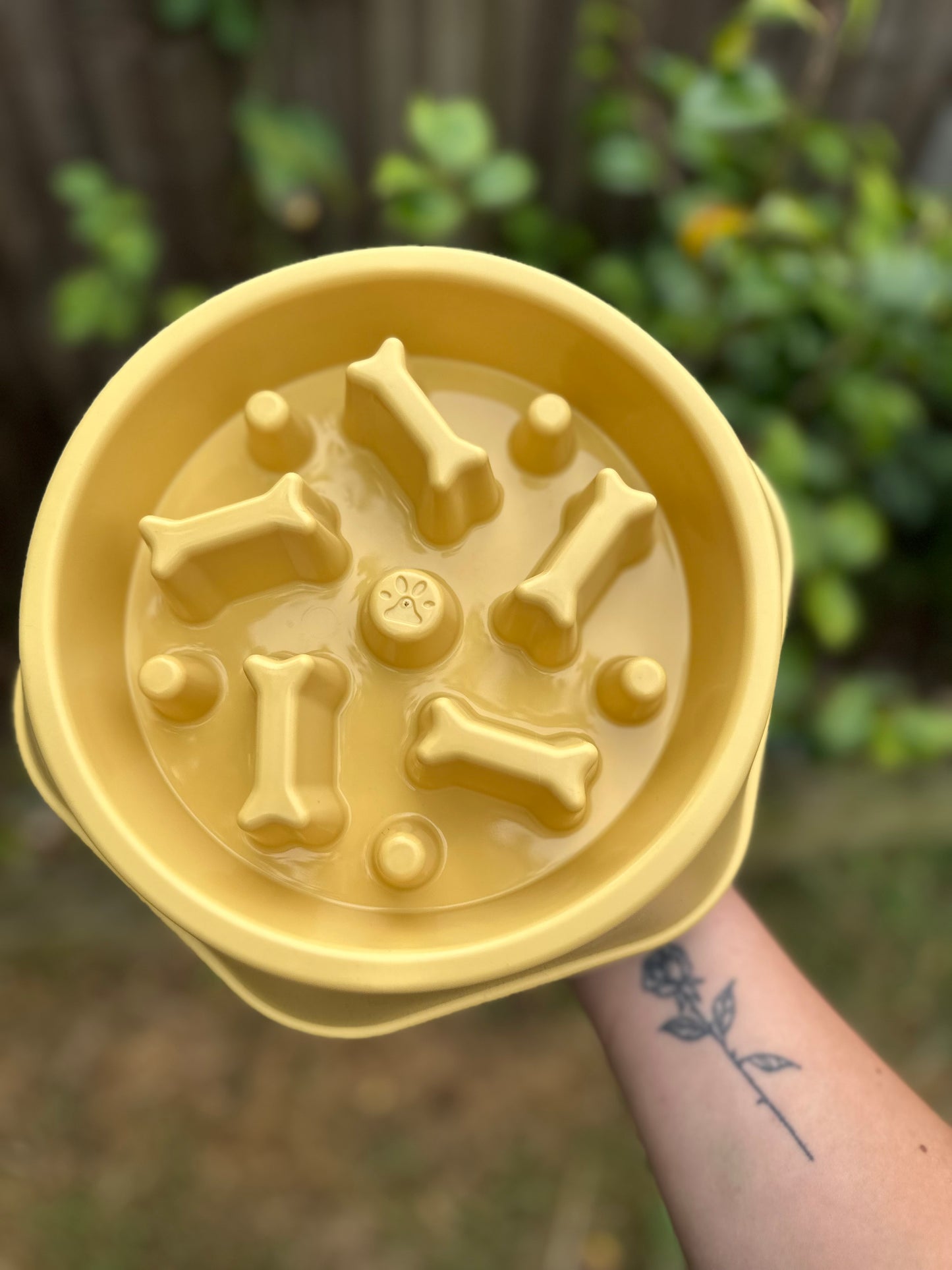 Plastic Slow Feeder Bowl