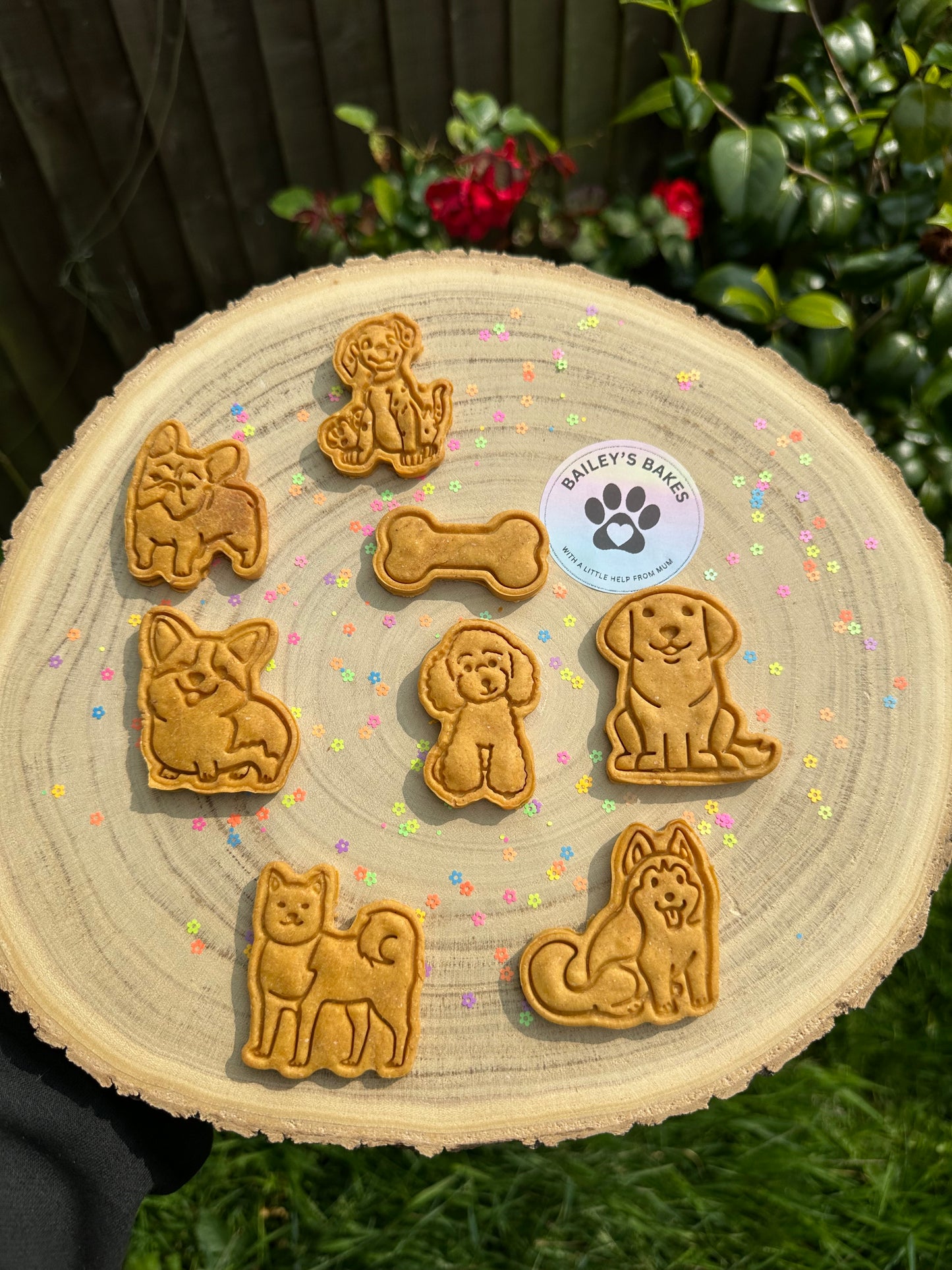 The Pup Pack