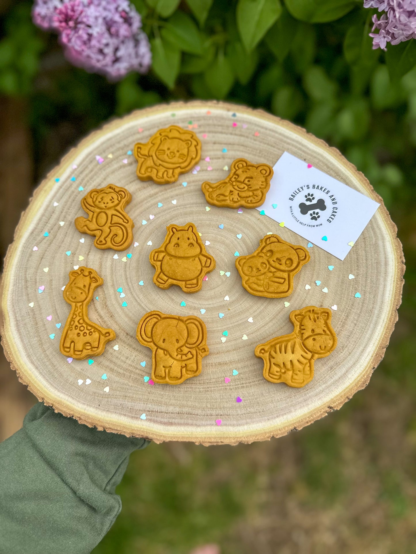 Safari Snacks