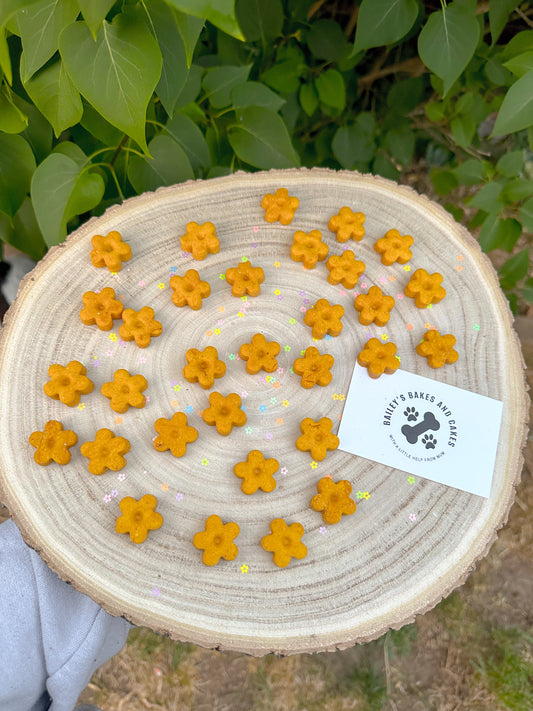 BIG Training Nibbles