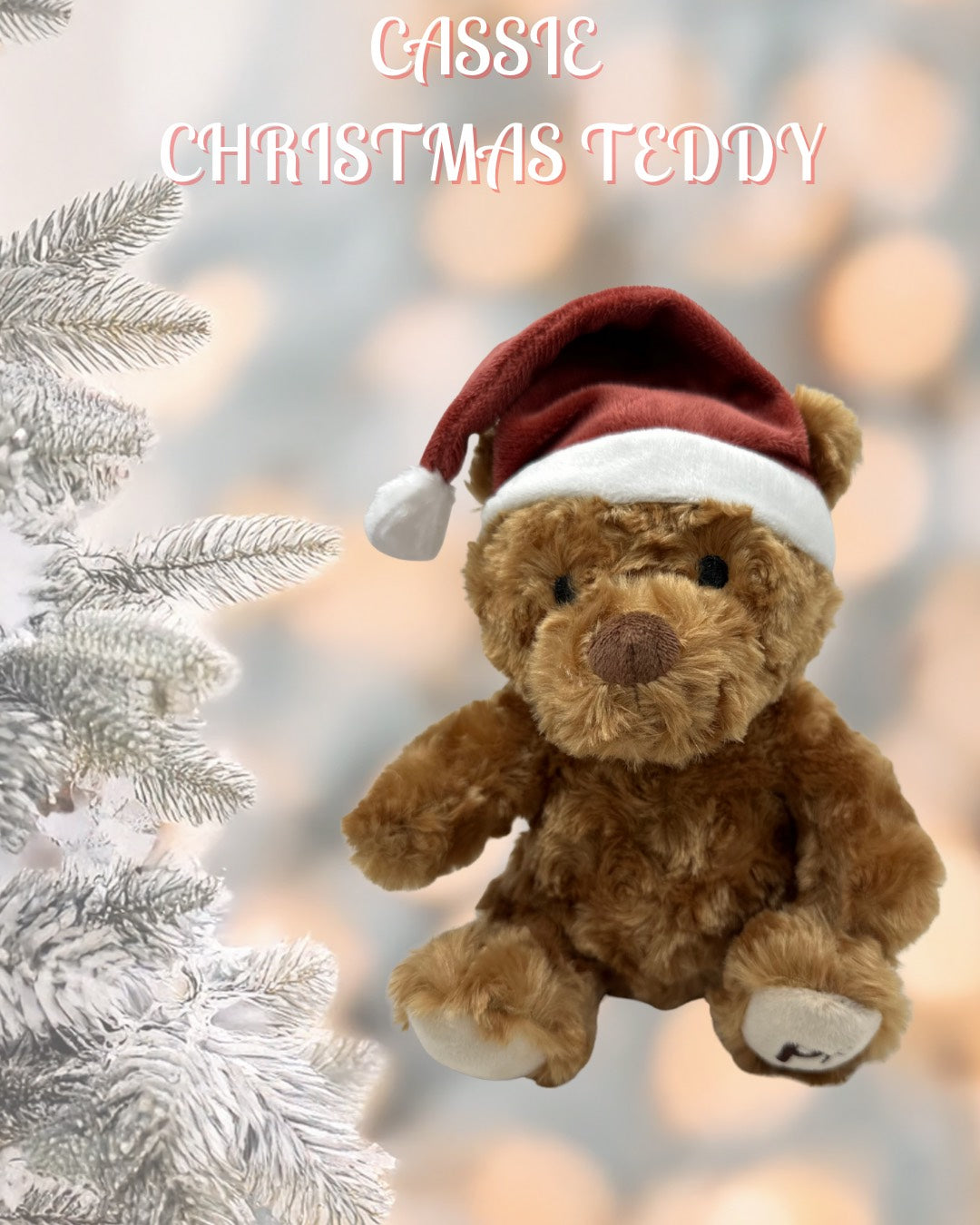 Cassie Christmas teddy