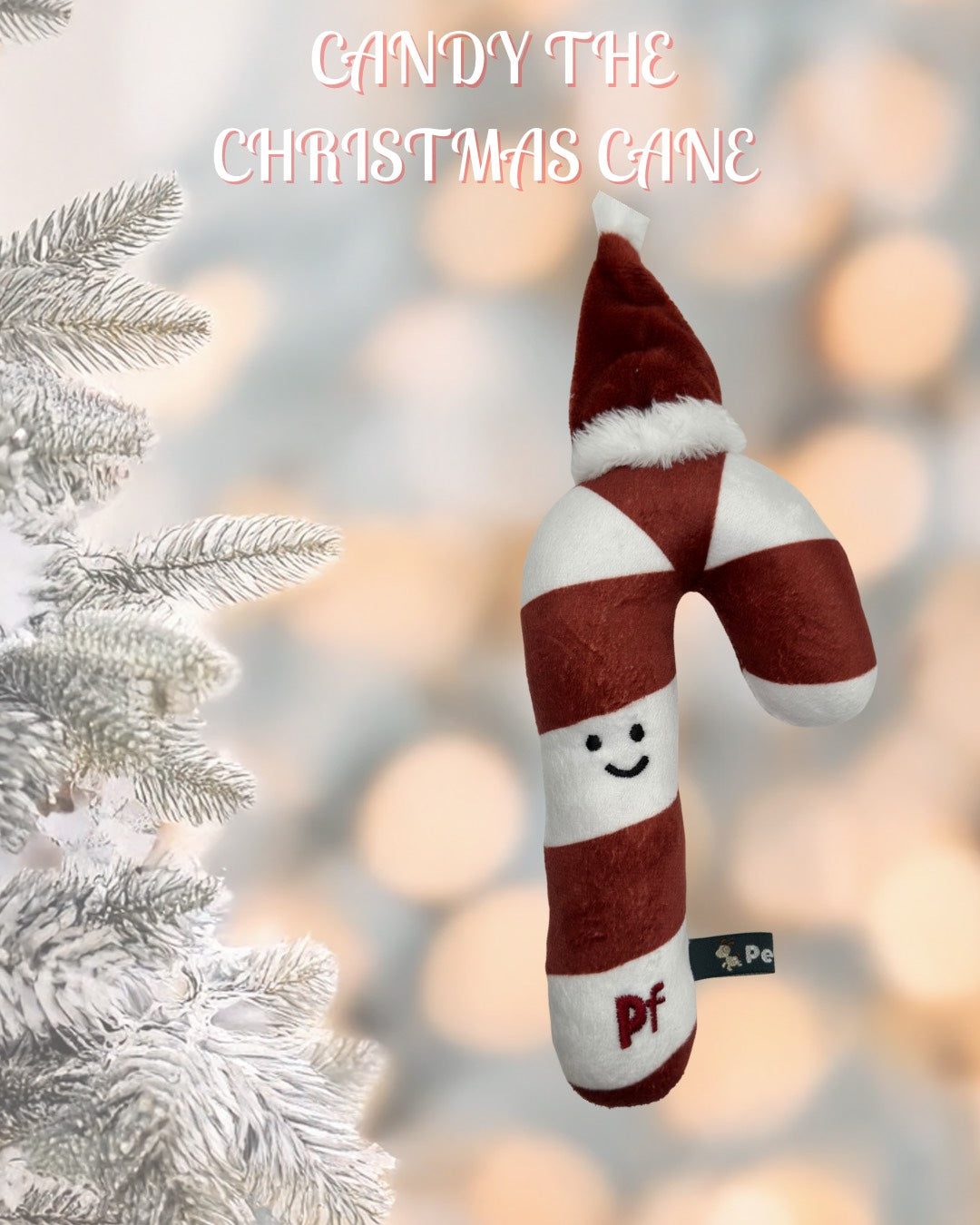 Candy Christmas cane