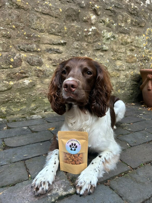 TRAINING TREATS
