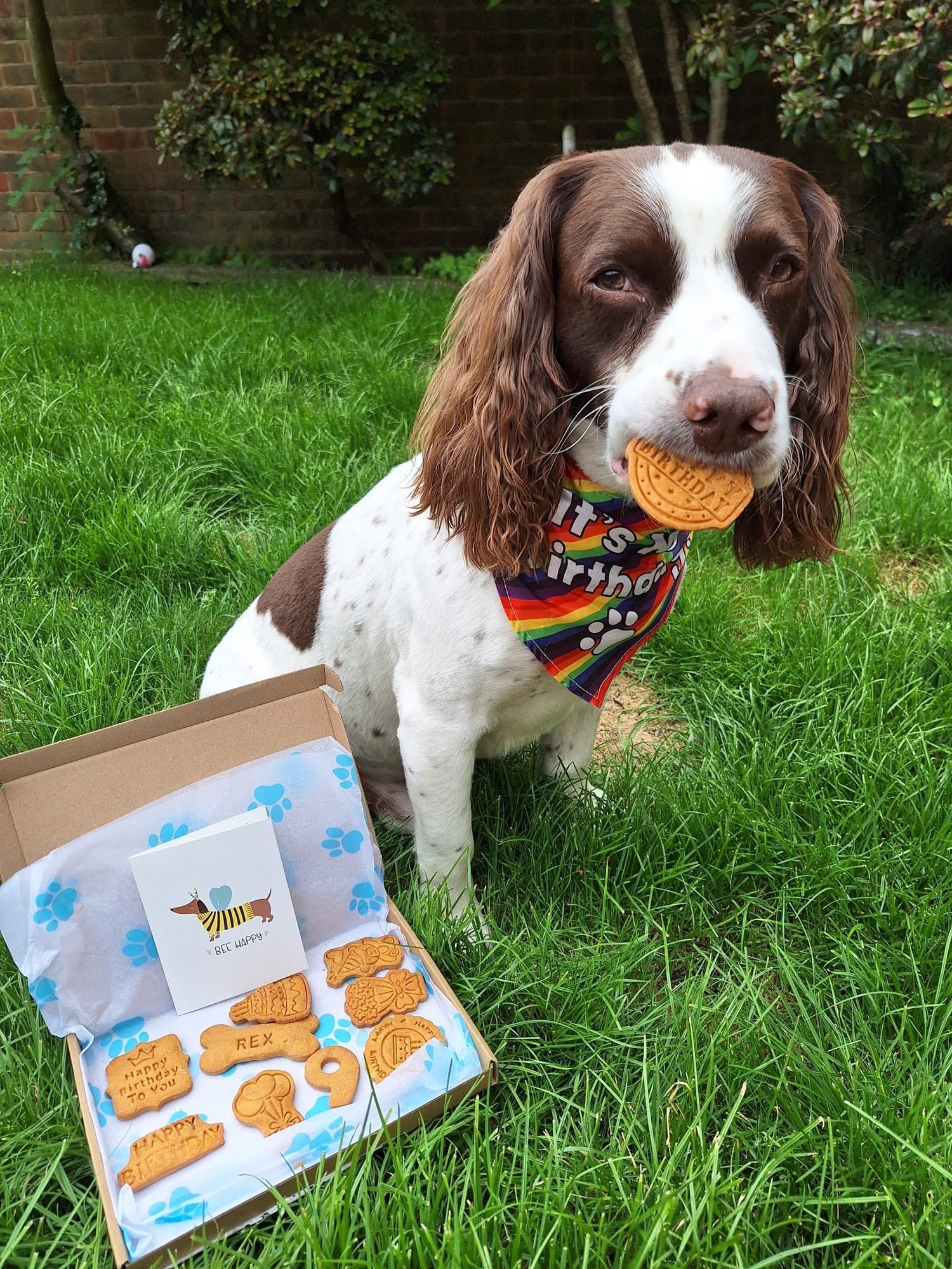 PERSONALISED BISCUIT BOXES