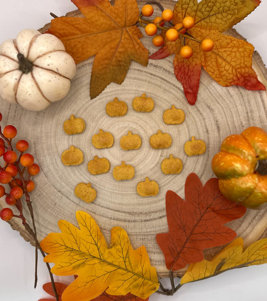 Pumpkin Nibbles