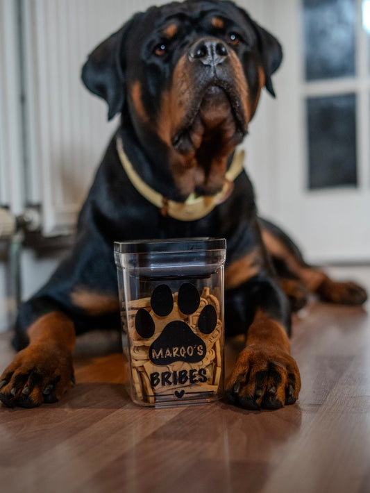 Personalised Fridge-Safe Treat Container