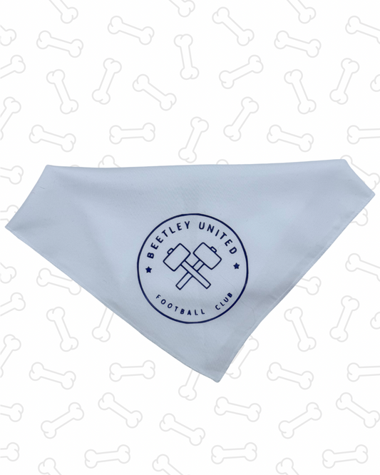 Beetley bandana