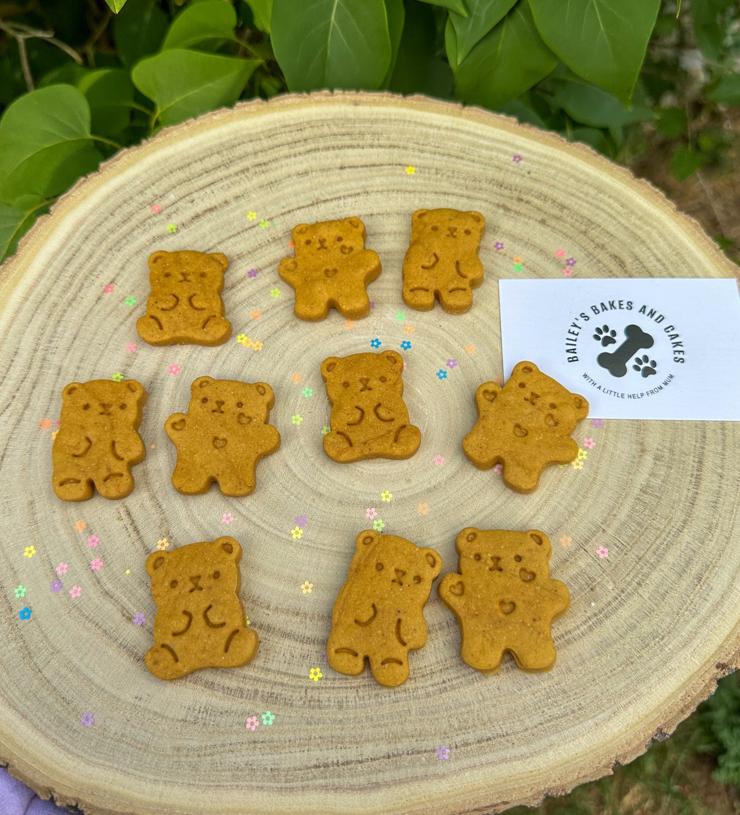 Teddy Bear's Picnic