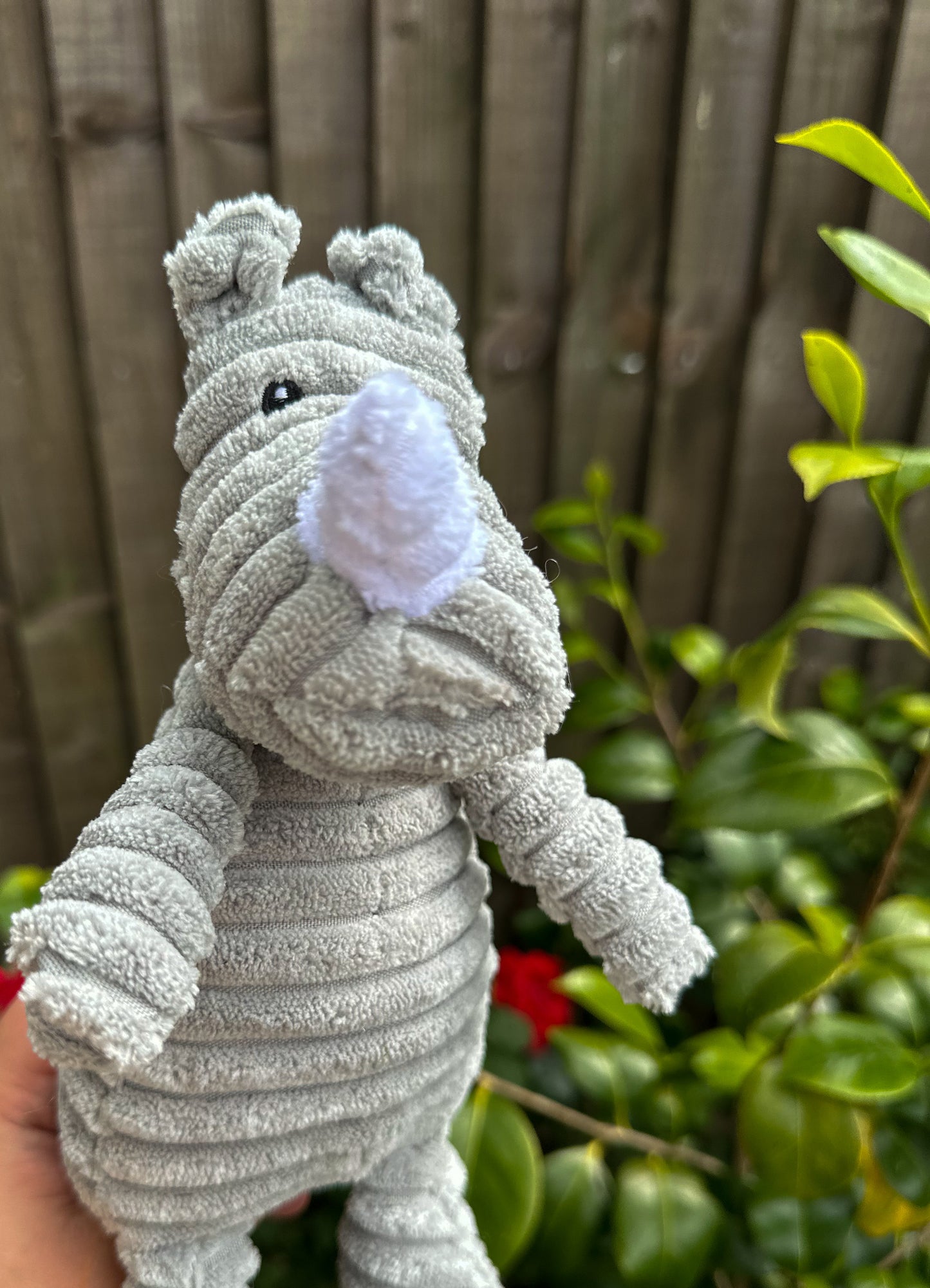 Rufus the Rhino