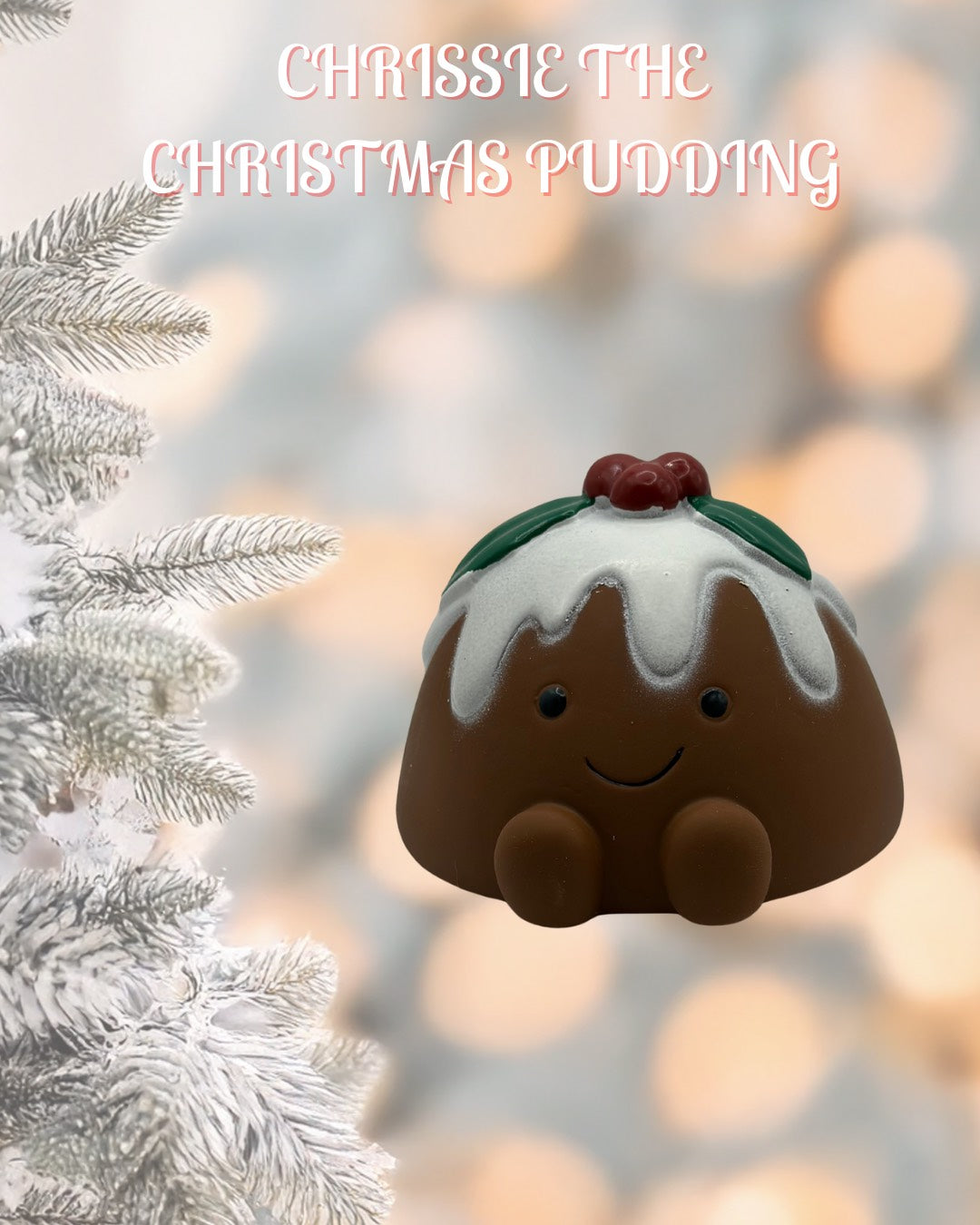 Chrissie Christmas pudding