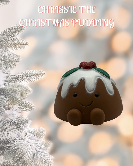 Chrissie Christmas pudding