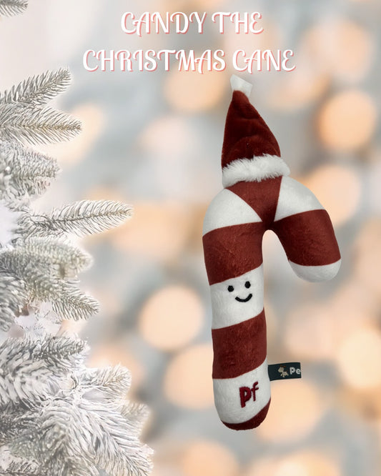 Candy Christmas cane